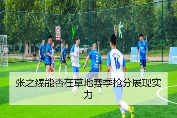 张之臻能否在草地赛季抢分展现实力